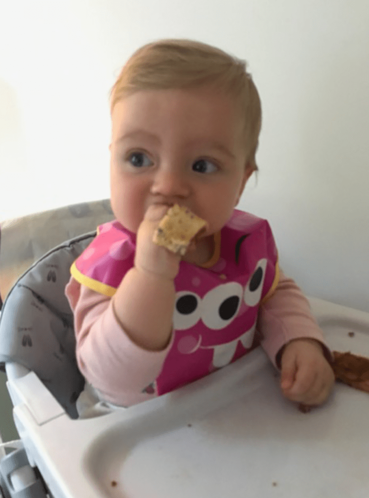 Chicco pocket snack chair