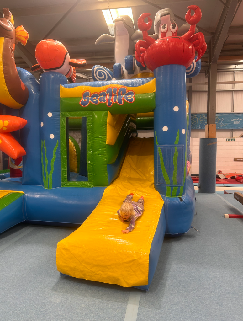 lynx gymnastics aylesbury review toddlers