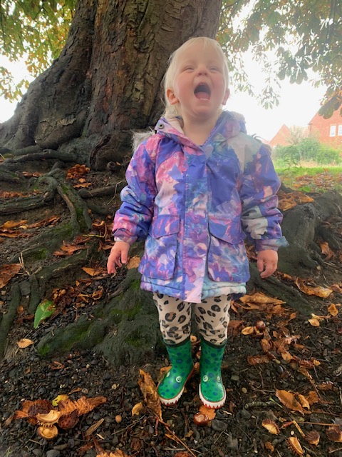 Trundling through terrible twos or is it terrific twos?