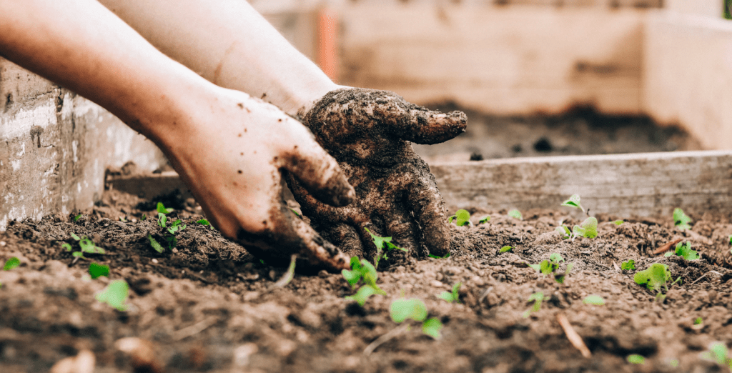 Free weekend activities with&nbsp;kids