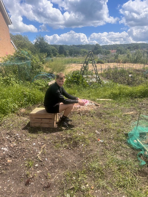 allotment on a budget 