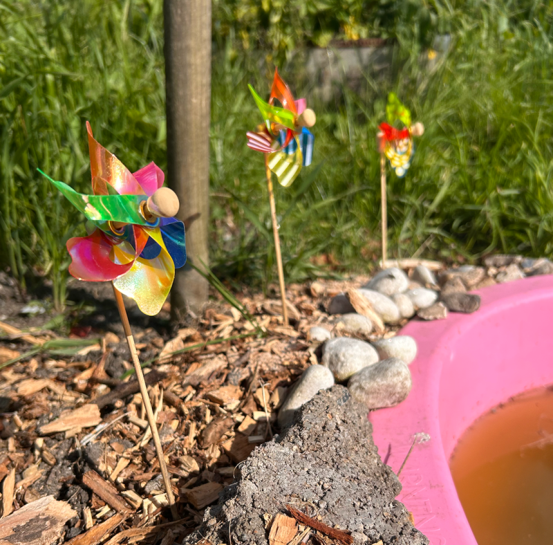 cheap allotment ideas 