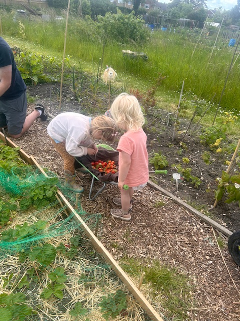 allotment on a budget 