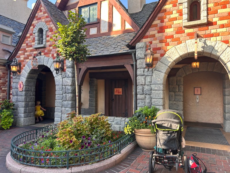 Potable potty Disneyland tips 