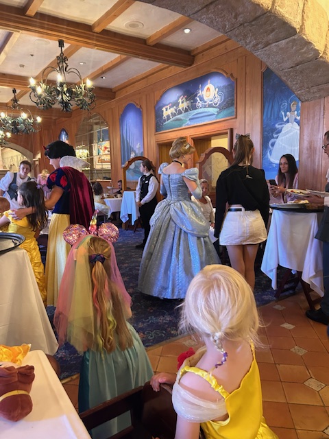 Disneyland Paris with young kids 