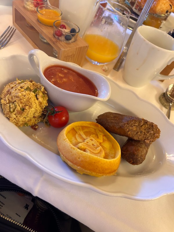 is two too young for disneyland paris.