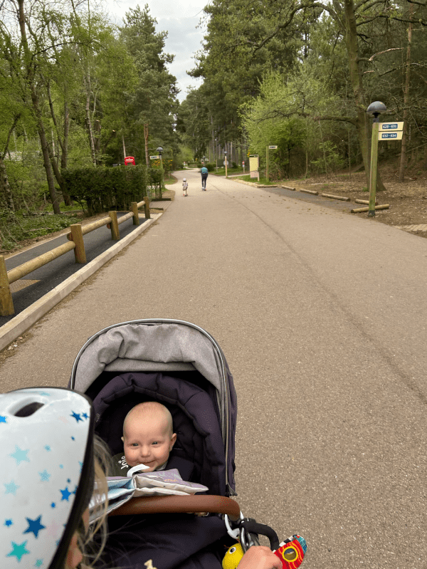 woburn centre parcs review 2025