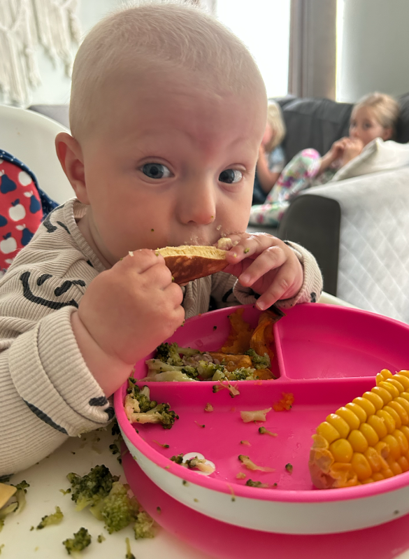 non upf baby led weaning ideas 