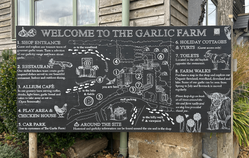 things to do in isle of wight